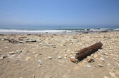 Enlarge photo 57