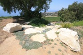 Enlarge photo 1