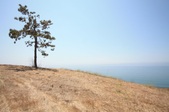 Enlarge photo 38