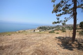 Enlarge photo 41