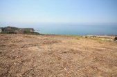 Enlarge photo 42