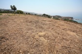 Enlarge photo 43