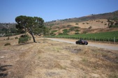 Enlarge photo 44