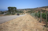 Enlarge photo 47
