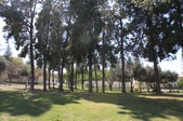 Enlarge photo 32