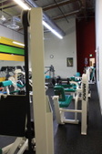 Enlarge photo 82