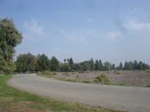 Enlarge photo 1