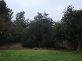 Enlarge photo 32