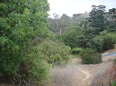 Enlarge photo 36