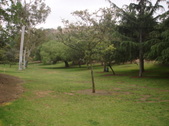 Enlarge photo 44