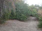 Enlarge photo 25