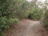 Enlarge photo 26