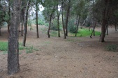 Enlarge photo 29