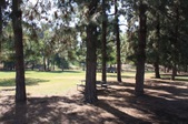 Enlarge photo 35