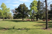 Enlarge photo 40