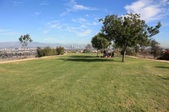 Enlarge photo 35
