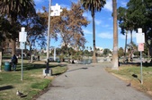 Macarthur Park
