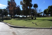 Enlarge photo 28