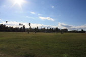 Parks