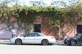 Enlarge photo 62