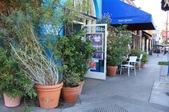Enlarge photo 40
