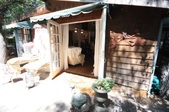 Enlarge photo 35