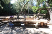 Enlarge photo 37