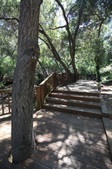 Enlarge photo 40