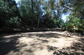 Enlarge photo 41