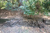 Enlarge photo 43