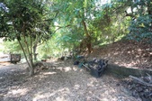 Enlarge photo 44