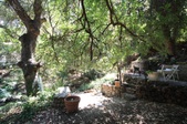 Cottage 7