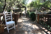 Enlarge photo 51