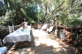 Enlarge photo 52