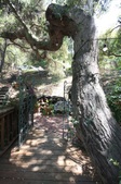 Enlarge photo 54