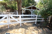 Enlarge photo 59