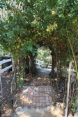 Enlarge photo 60
