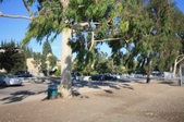 Enlarge photo 28