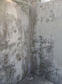 Enlarge photo 61