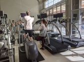 Toy Gym