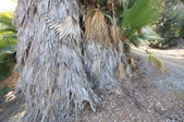 Enlarge photo 29