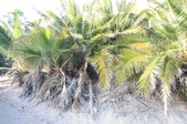 Enlarge photo 30