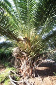 Enlarge photo 32