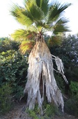 Enlarge photo 33