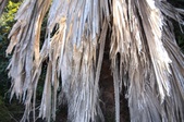 Enlarge photo 34