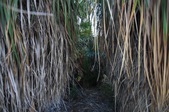 Enlarge photo 36