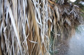 Enlarge photo 37
