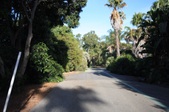 Enlarge photo 38