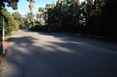 Enlarge photo 39
