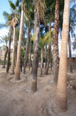 Enlarge photo 27